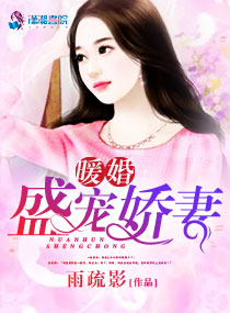 暖婚：盛宠娇妻