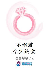 不识君冷少追妻
